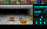 Dungeon Master PC DOS