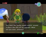 Zelda Windwaker Gamecube 25