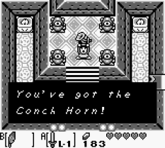 Legend of Zelda Link's Awakening Game Boy 065