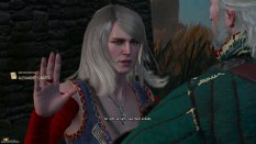The Witcher 3 - Wild Hunt PC 033