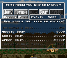 EVO - Search for Eden SNES 043