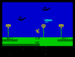 The Birds and the Bees ZX Spectrum 06