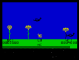 The Birds and the Bees ZX Spectrum 18