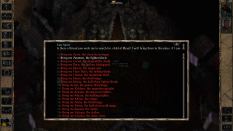 Baldur's Gate 2 Throne of Bhaal PC 12