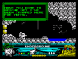 Crystal Kingdom Dizzy ZX Spectrum 71