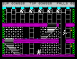 Bruce Lee ZX Spectrum 40
