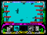 Nemesis the Warlock ZX Spectrum 40