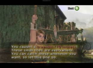 The Legend of Zelda - Twilight Princess GameCube 045