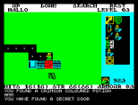 Rogue ZX Spectrum 24