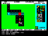 Rogue ZX Spectrum 45