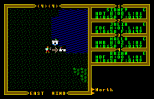 Ultima 3 - Exodus Amiga 005