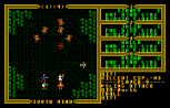Ultima 3 - Exodus Amiga 014