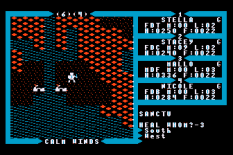 Ultima 3 - Exodus Atari 8-bit 065