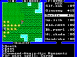 Ultima 4 - Quest of the Avatar SMS 024