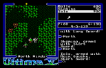 Ultima 5 - Warriors of Destiny Amiga 015