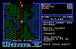 Ultima 5 - Warriors of Destiny Amiga 049