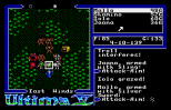 Ultima 5 - Warriors of Destiny Amiga 072