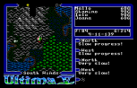 Ultima 5 - Warriors of Destiny Amiga 090