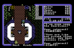 Ultima 5 - Warriors of Destiny C64 058