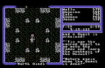 Ultima 5 - Warriors of Destiny C64 094