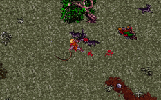 Ultima 7 Part 2 - Serpent Isle PC 053