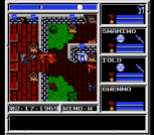 Ultima - Warriors of Destiny NES 049