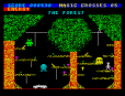 Chiller ZX Spectrum 40